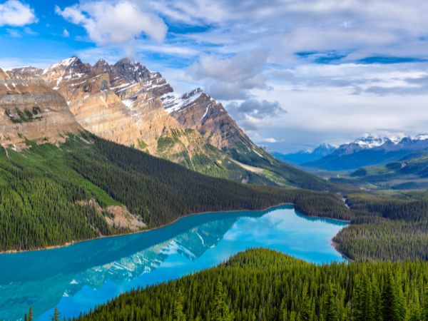 Your Guide to a Calgary Road Trip From the Rockies to the City