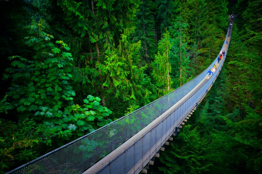 Vancouver for Nature Lovers Best Hiking Trails Gardens and Views